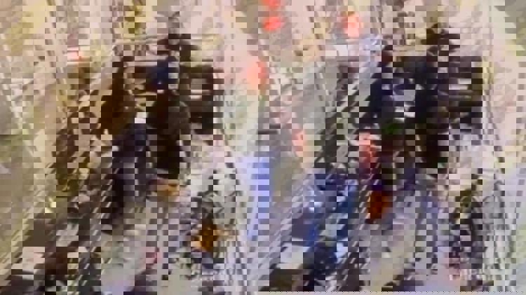 imagen-cuerpo imagen-cuerpo