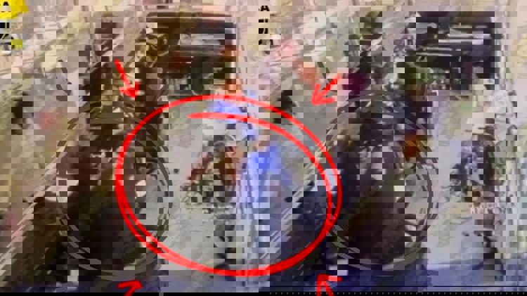 imagen-cuerpo imagen-cuerpo