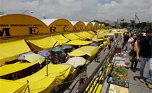 Mercado Sonora CDMX: revelan por qué se tardó cinco años en aplicar la sentencia contra venta de animales