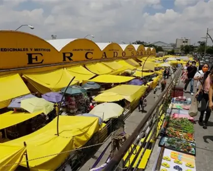 Mercado Sonora CDMX: revelan por qué se tardó cinco años en aplicar la sentencia contra venta de animales