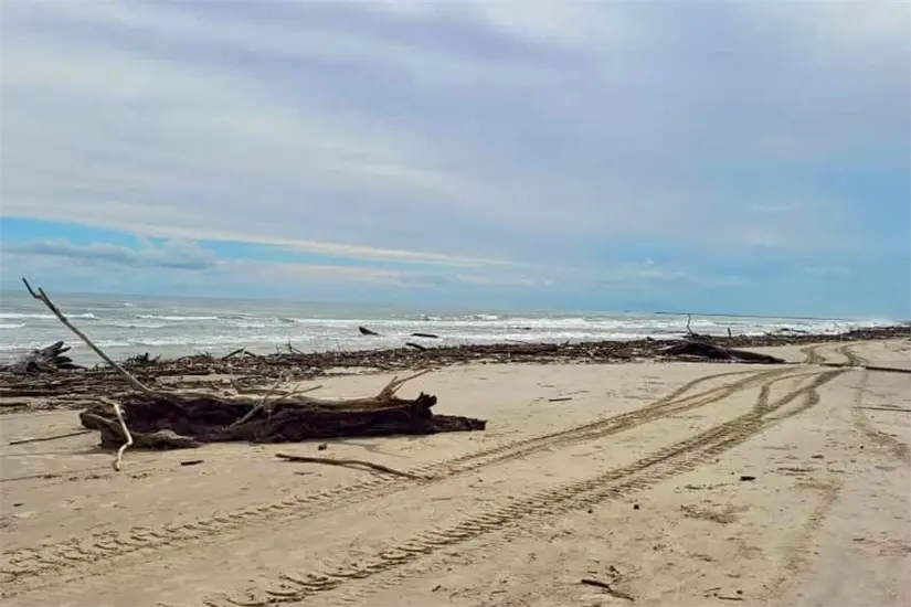 El incremento del nivel del río Pánuco, tras las recientes lluvias, es la razón de la palizada en playa Miramar. Foto: Axel Hassel