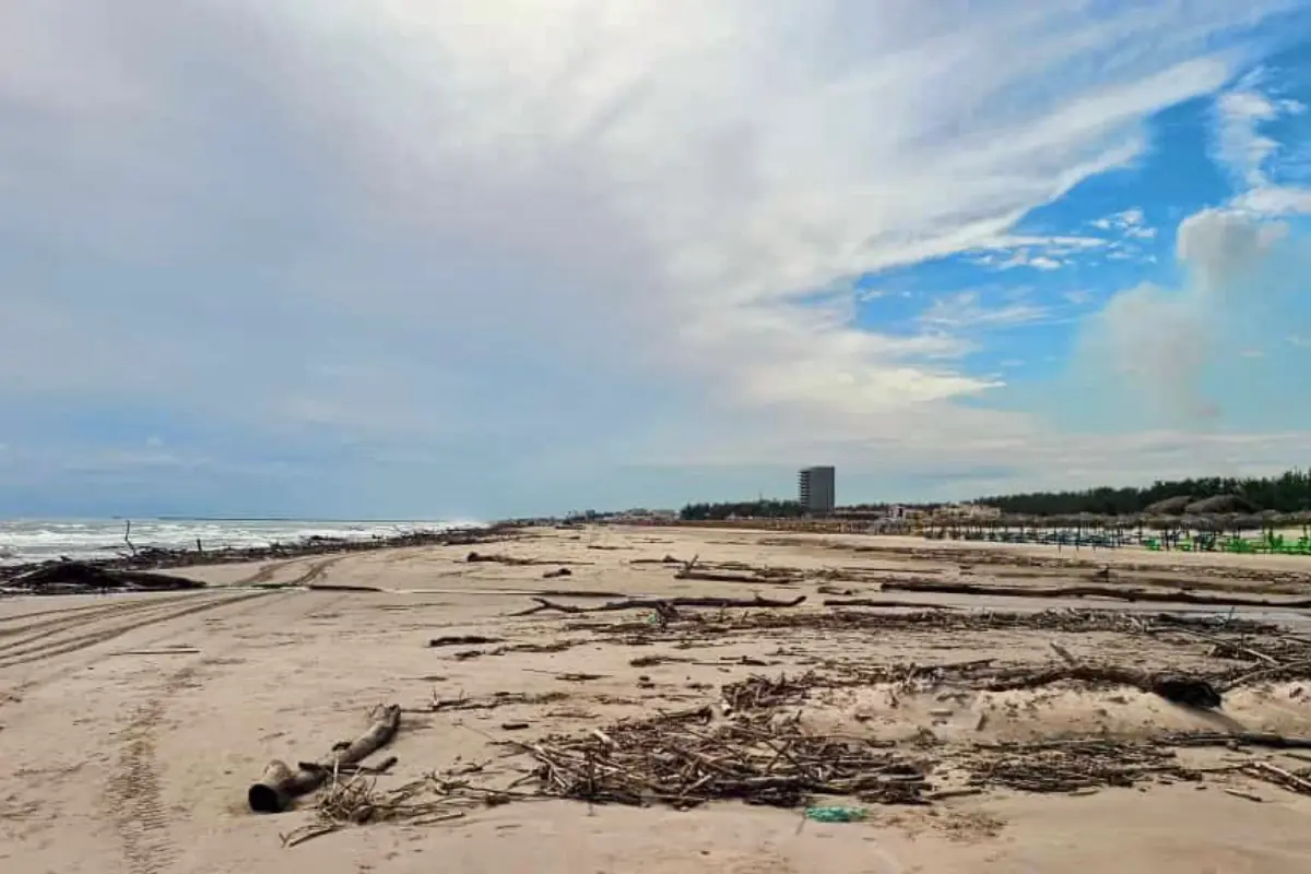 La creciente del río Pánuco ha arrojado toneladas de palizada, basura e incluso animales muertos a las aguas del golfo de México. Foto: Axel Hassel