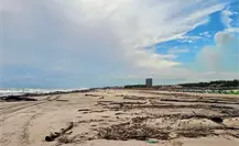 Playa Miramar tapizada por toneladas de palizada y basura