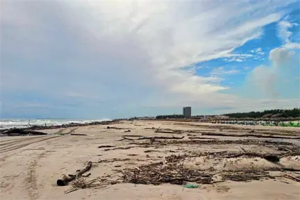 Playa Miramar tapizada por toneladas de palizada y basura Playa Miramar tapizada por toneladas de palizada y basura