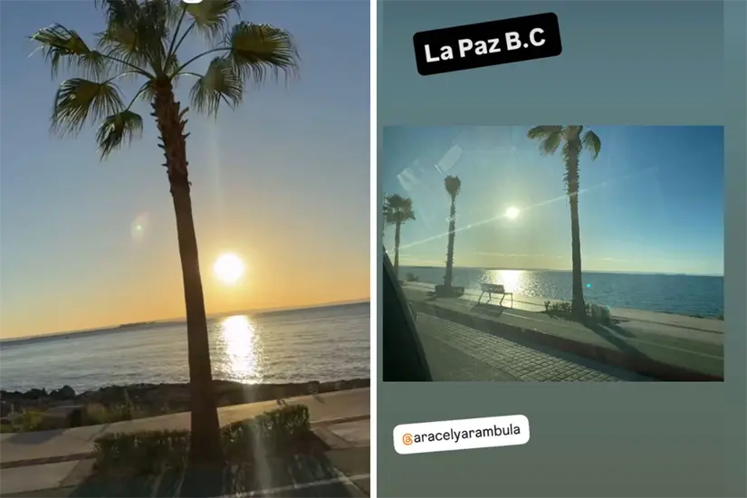 Foto: Davizepeda1 / Instagram | Aracelyarambula / Instagram.