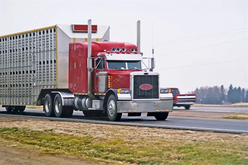 Foto: Biblioteca Canva