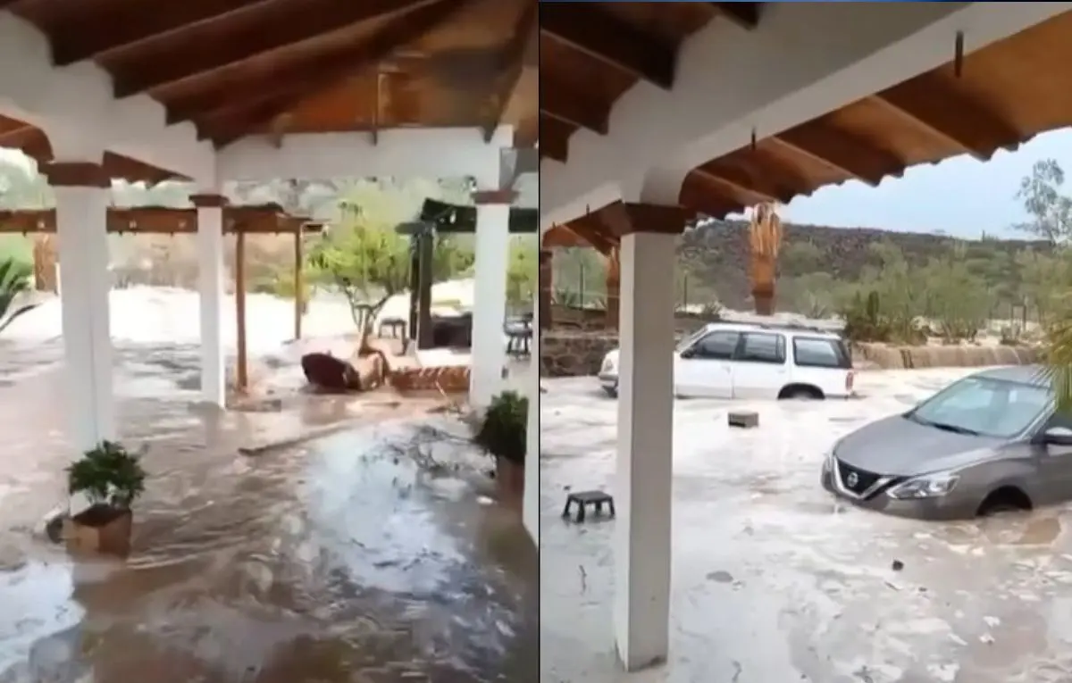 Foto: Captura pantalla video / POSTA Baja California Sur