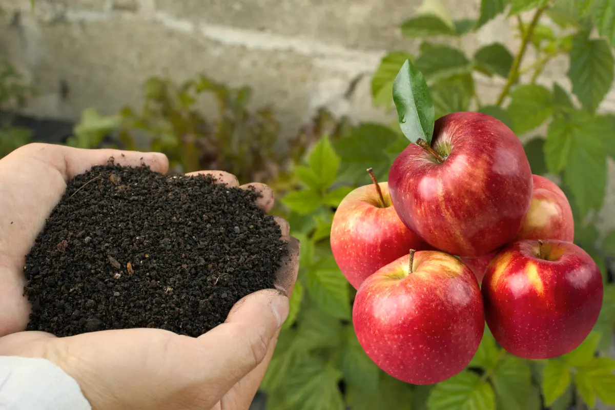 El Ritual de la Manzana Roja revelado por Mhoni Vidente promete atraer riqueza estabilidad emocional y eliminar energías negativas. Foto: Canva
