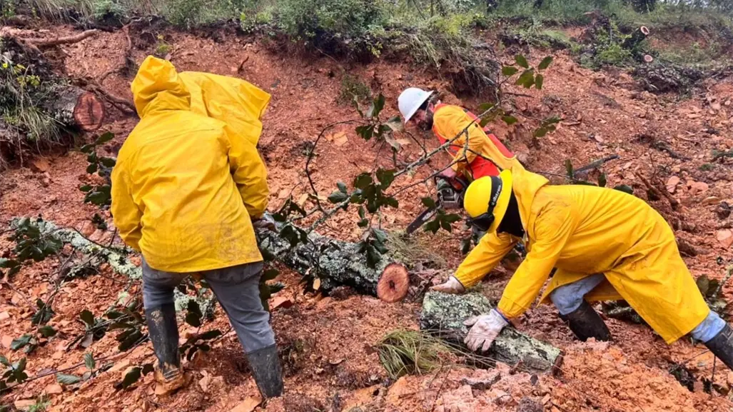 Servidores llegan a Querétaro para levantar el censo de viviendas afectadas por lluvias | VIDEO