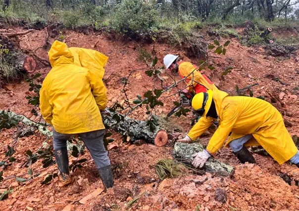 Servidores llegan a Querétaro para levantar el censo de viviendas afectadas por lluvias | VIDEO