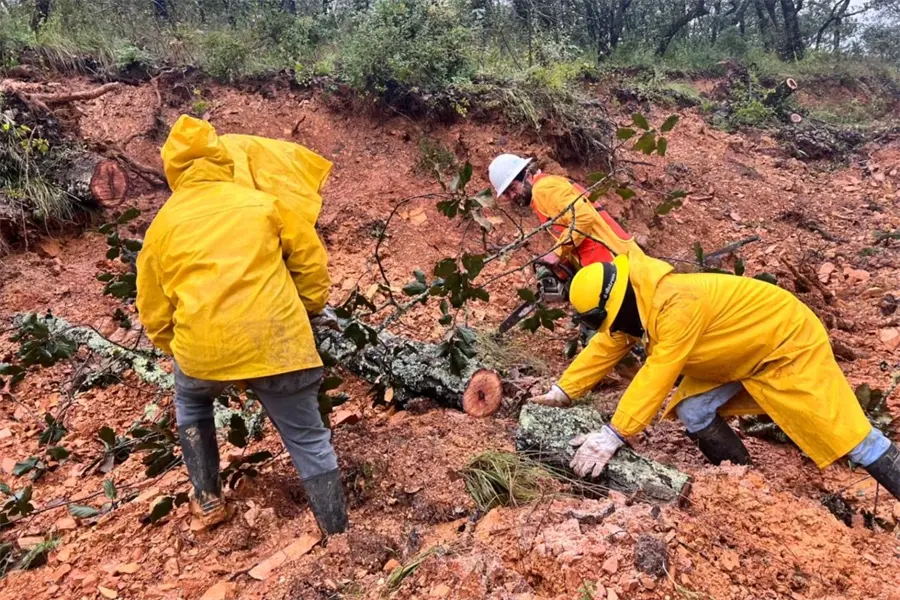 Servidores llegan a Querétaro para levantar el censo de viviendas afectadas por lluvias | VIDEO