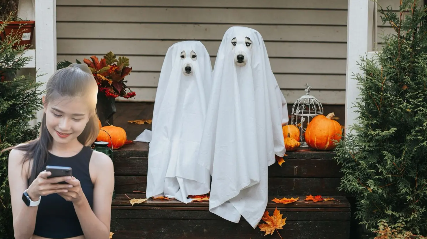 Con esta aplicación puedes conocer qué casas ofrecen dulces en Halloween. (Fotografía: Canva)