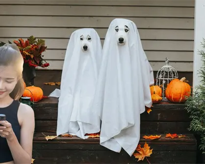 Halloween en Saltillo: Así funciona la app que te dice qué casas darán dulces