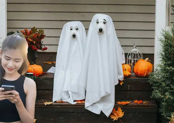 Halloween en Saltillo: Así funciona la app que te dice qué casas darán dulces