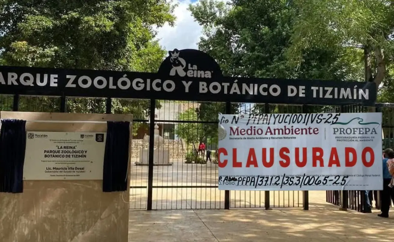 ¿Por qué fue clausurado el zoológico “La Reina” en Tizimín? Foto: Canva | Cortesía