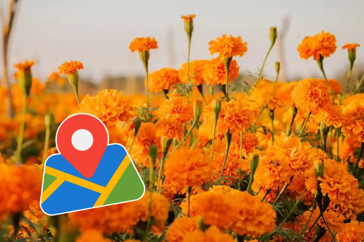 Foto: Rancho El Gordo| Canva