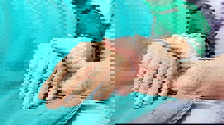 imagen-cuerpo imagen-cuerpo