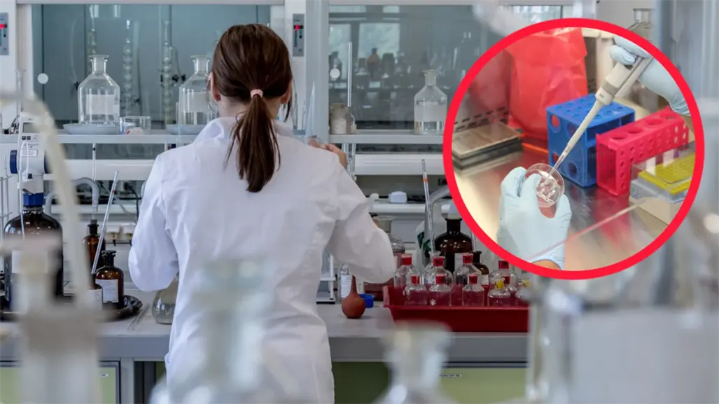 ¿Qué es un examen histopatológico, como el que aún realizan a los restos de Paloma Nicole?