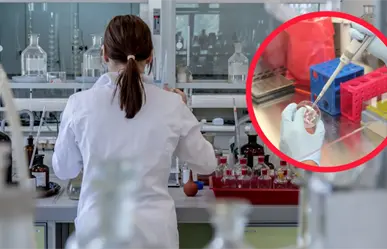 ¿Qué es un examen histopatológico, como el que aún realizan a los restos de Paloma Nicole?