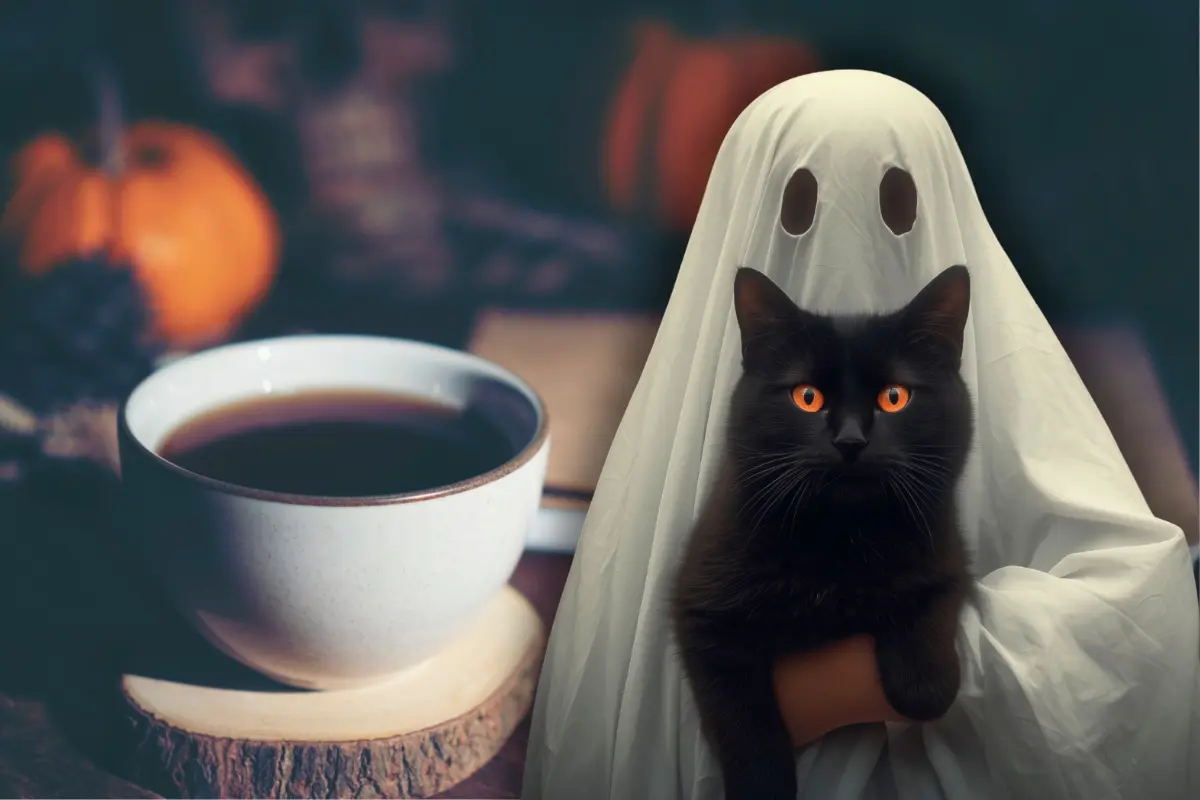 Imagen ilustrativa a Halloween de un café, un fantasma y un gato. Foto: Canva