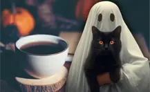 Halloween en Barrio Antiguo: 3 cafeterías para sentir el otoño y ¡un poco de miedo!