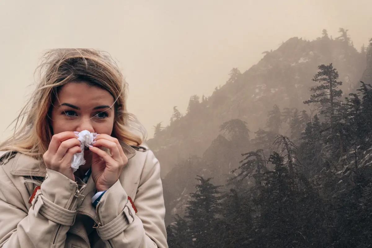 El Sureste del estado será el más afectado por las bajas temperaturas, con posibles heladas ligeras en zonas altas de Arteaga y la Sierra de Zapalinamé./Foto: Canva