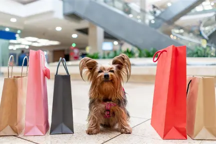 ¿Galerías Toluca es Pet Friendly? Esto se sabe tras la muerte de "canelita" ¿Galerías Toluca es Pet Friendly? Esto se sabe tras la muerte de "canelita"