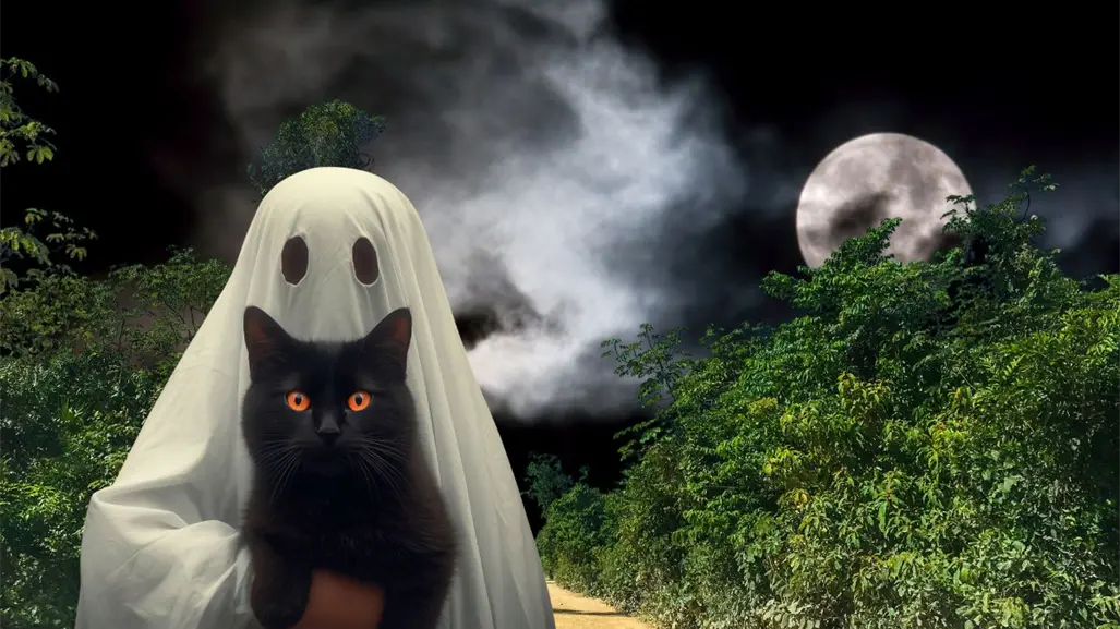 5 lugares considerados de miedo en Yucatán para poder visitar en Halloween