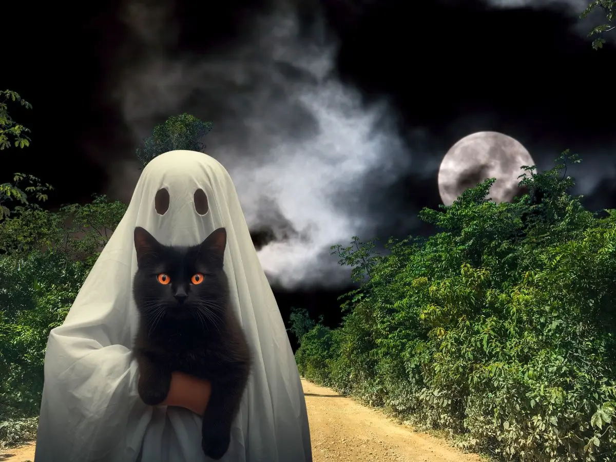 Los relatos de tragedias, maldiciones y avistamientos paranormales convierten a estos sitios en escenarios ideales para vivir una auténtica experiencia de Halloween en Yucatán.- Fuente Canva