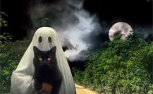 5 lugares considerados de miedo en Yucatán para poder visitar en Halloween