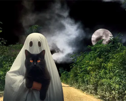5 lugares considerados de miedo en Yucatán para poder visitar en Halloween