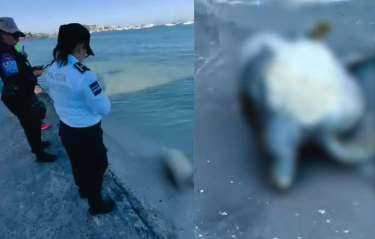 Foto: Captura pantalla video Facebook: Leonardo Rondero