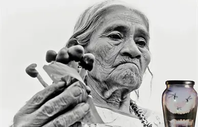 Nueva especie de luciérnaga hallada en Chapultepec recibe nombre en honor a la chamana María Sabina