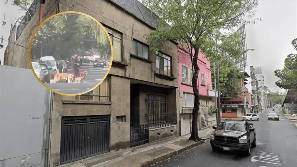 VIDEO | Paseador de perros en CDMX es grabado ahorcando a un lomito en la alcaldía Cuauhtémoc