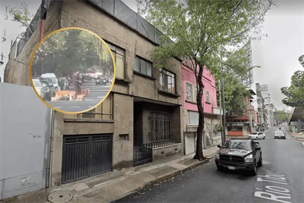 VIDEO | Paseador de perros en CDMX es grabado ahorcando a un lomito en la alcaldía Cuauhtémoc