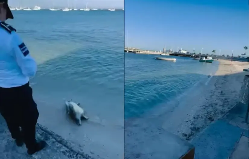 Foto: Captura pantalla video Facebook: Leonardo Rondero