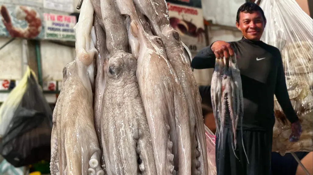 Pulpeada en Yucatán ¿Cuánto se ha capturado hasta el momento?