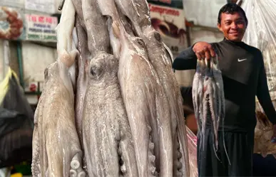 Pulpeada en Yucatán ¿Cuánto se ha capturado hasta el momento?