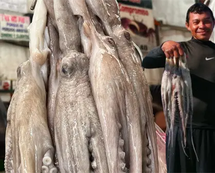 Pulpeada en Yucatán ¿Cuánto se ha capturado hasta el momento?