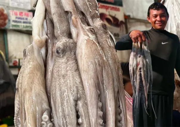 Pulpeada en Yucatán ¿Cuánto se ha capturado hasta el momento?