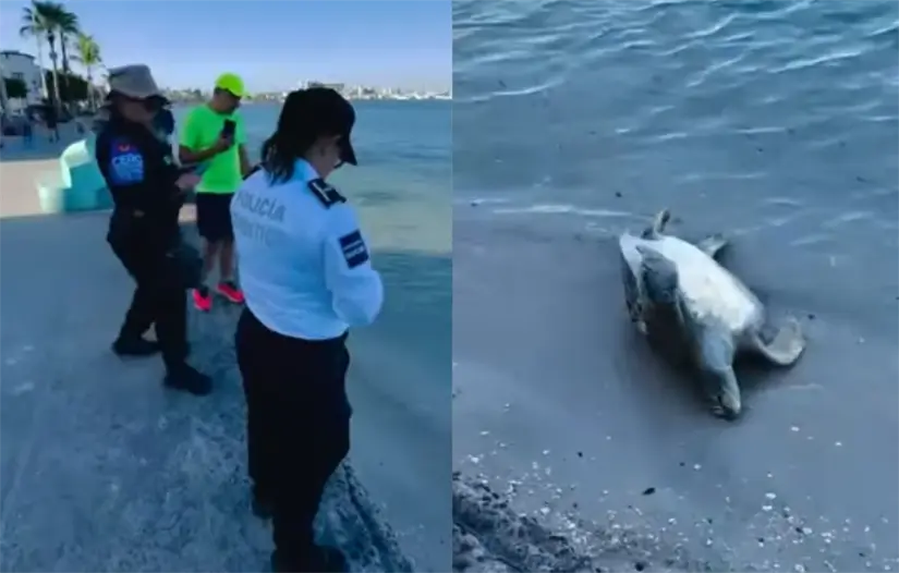 Foto: Captura pantalla video Facebook: Leonardo Rondero