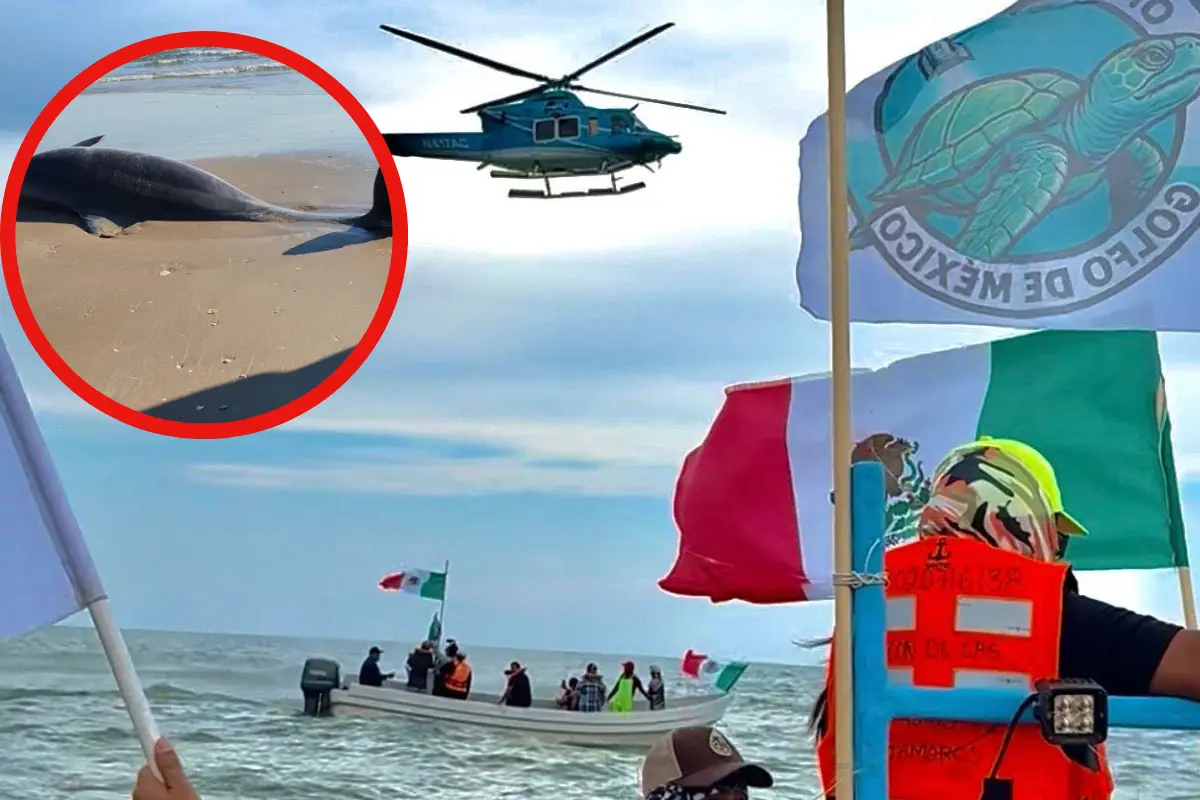 En Playa Bagdad, restos cohete Starship generan vigilancia marítima para evitar riesgos a pescadores y daños ambientales.