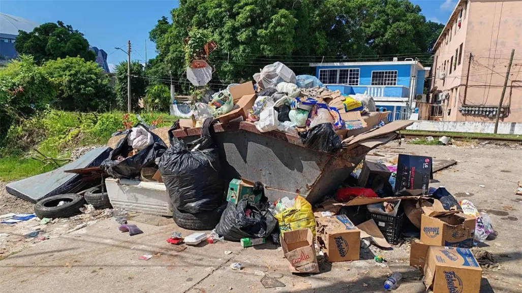 Ciudad Madero entre la basura: contenedor convertido en foco de infección en pleno centro
