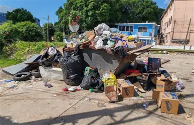 Ciudad Madero entre la basura: contenedor convertido en foco de infección en pleno centro