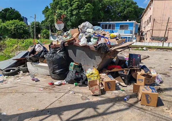 Ciudad Madero entre la basura: contenedor convertido en foco de infección en pleno centro