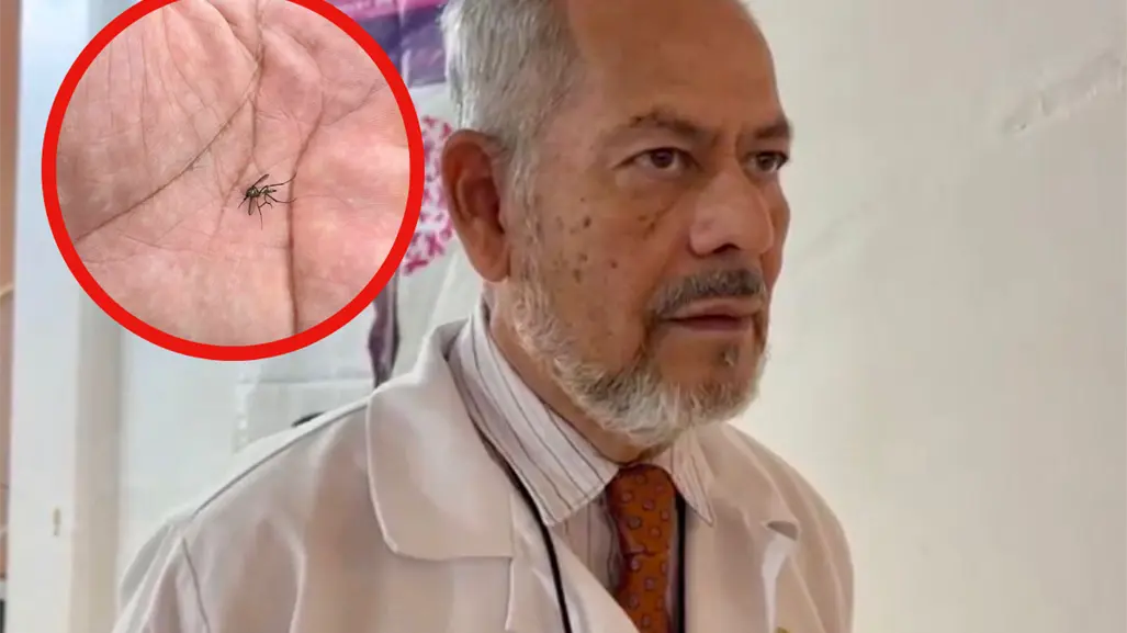 Prevé Sector Salud nuevos casos de dengue ante aumento de mosquitos en el sur de Tamaulipas