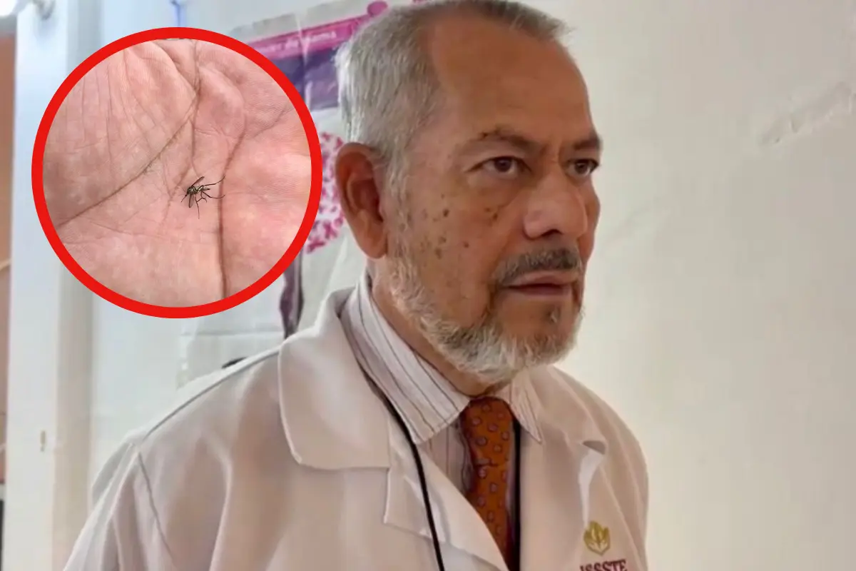 El sector salud alerta sobre un repunte de dengue en Tampico y Ciudad Madero debido a las lluvias y proliferación del mosquito Aedes aegypti.