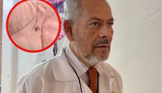 Prevé Sector Salud nuevos casos de dengue ante aumento de mosquitos en el sur de Tamaulipas