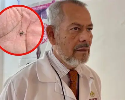 Prevé Sector Salud nuevos casos de dengue ante aumento de mosquitos en el sur de Tamaulipas