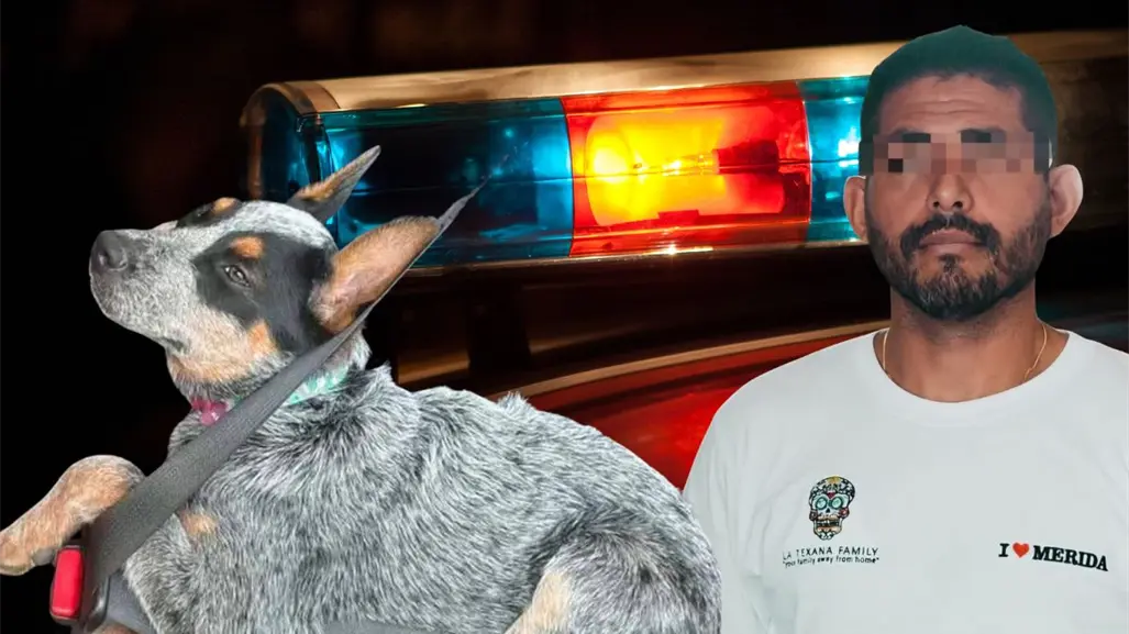 Detienen a presunto agresor de la perrita Sicilia: autoridades informan que fue capturado en Campeche